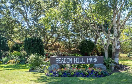 Parc de Beacon Hill